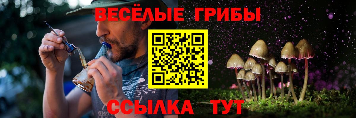 Крымск  Галлюциногенные грибы прущие грибы  Вход с VPN 
